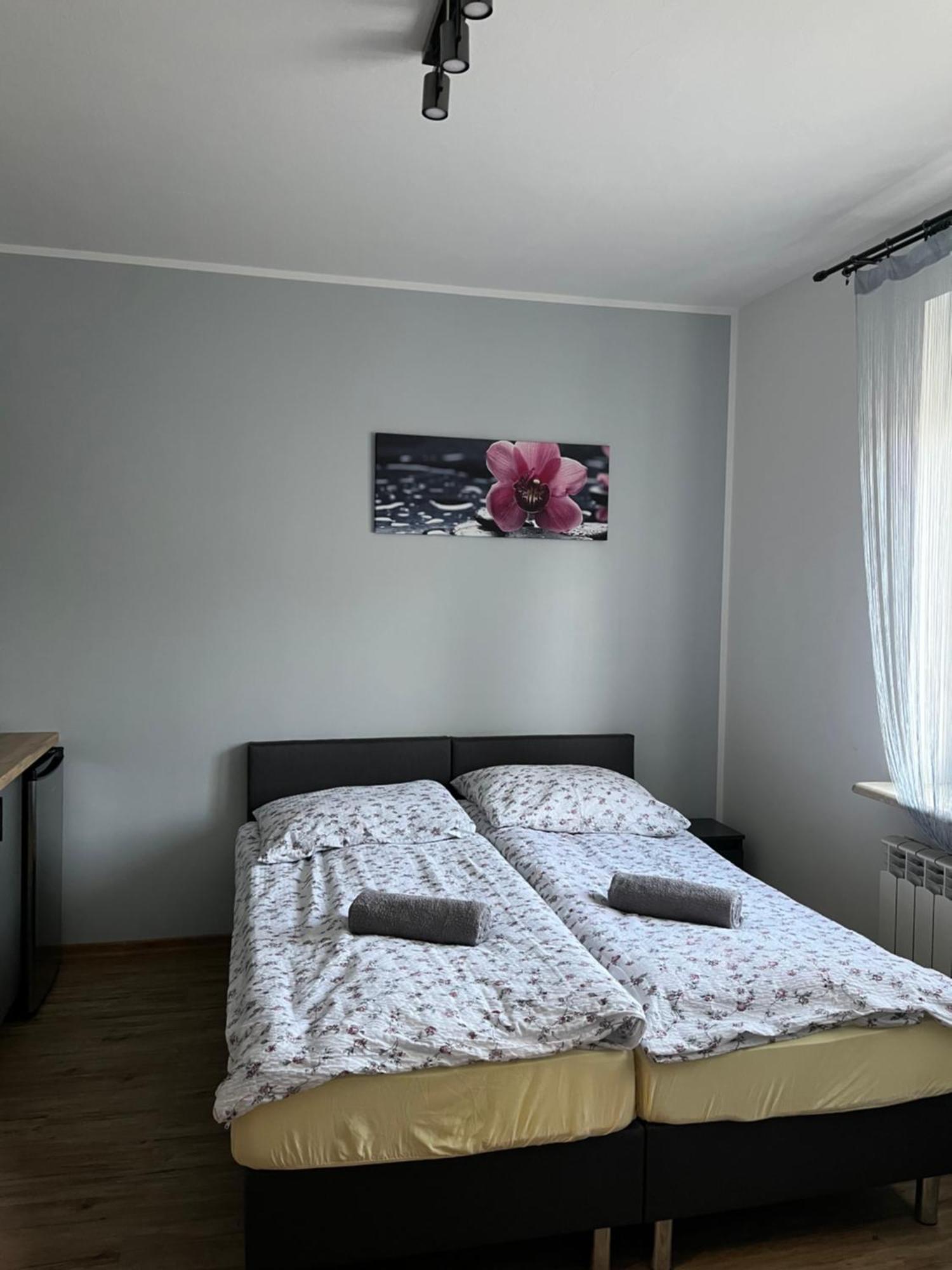 Dom Wypoczynkowy Nad Wisla Pulawy Bagian luar foto